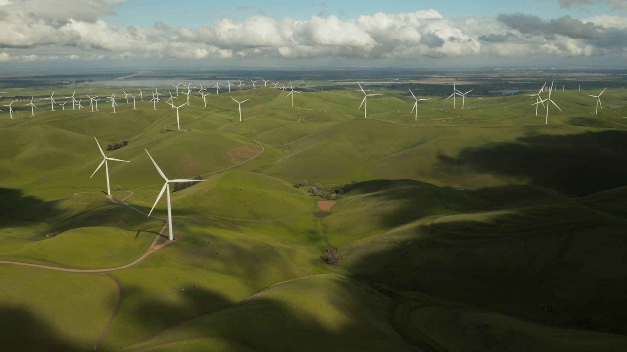 Sustainability Strategy Tool